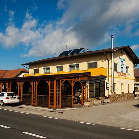Guest House Celan Spodnja Hajdina Dış mekan fotoğraf