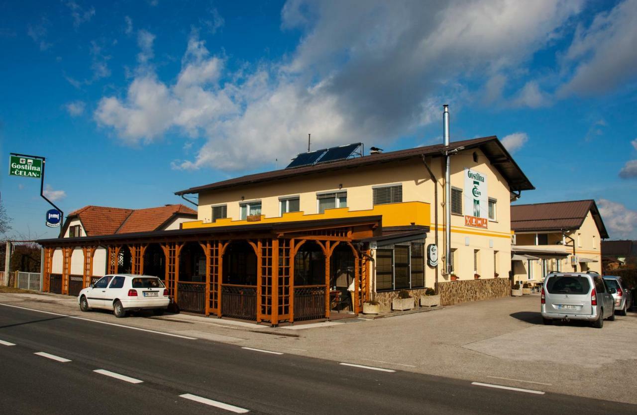 Guest House Celan Spodnja Hajdina Dış mekan fotoğraf