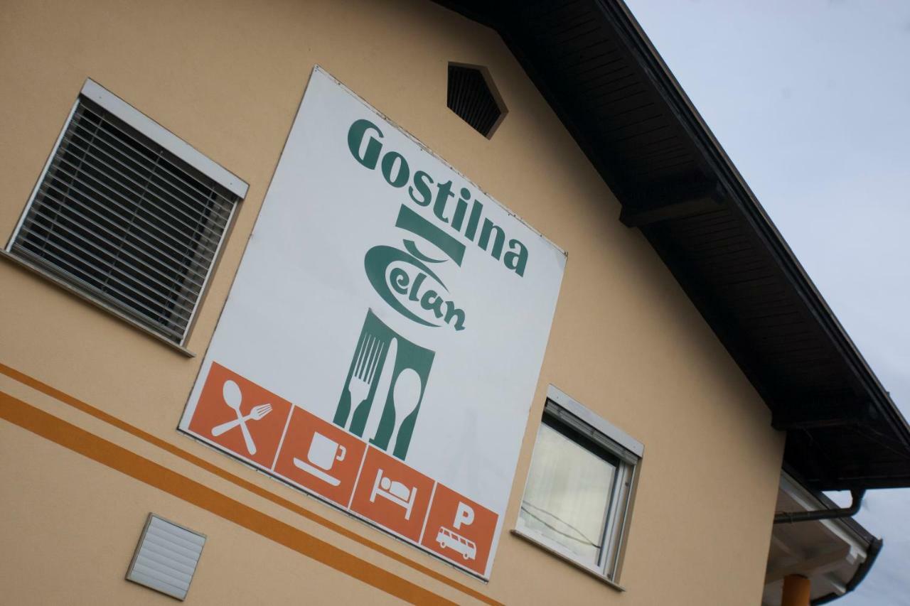 Guest House Celan Spodnja Hajdina Dış mekan fotoğraf