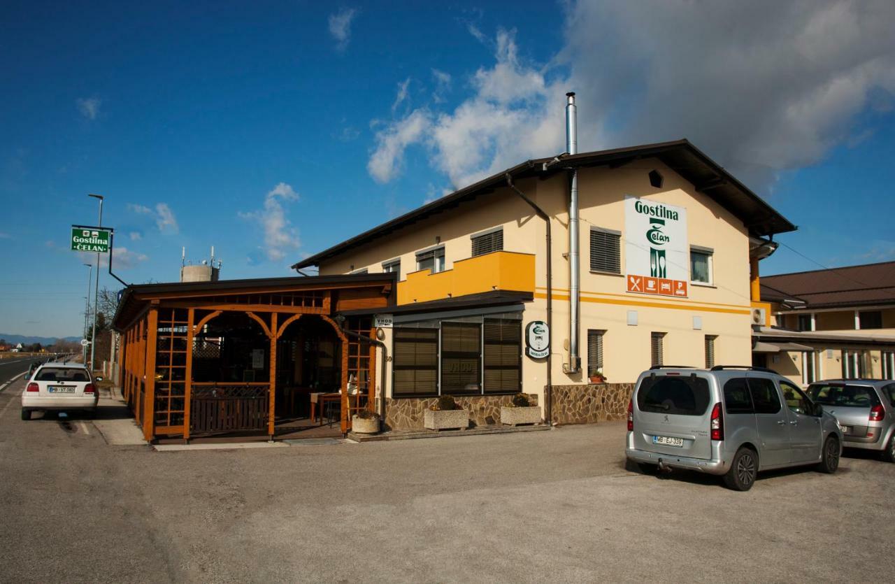 Guest House Celan Spodnja Hajdina Dış mekan fotoğraf
